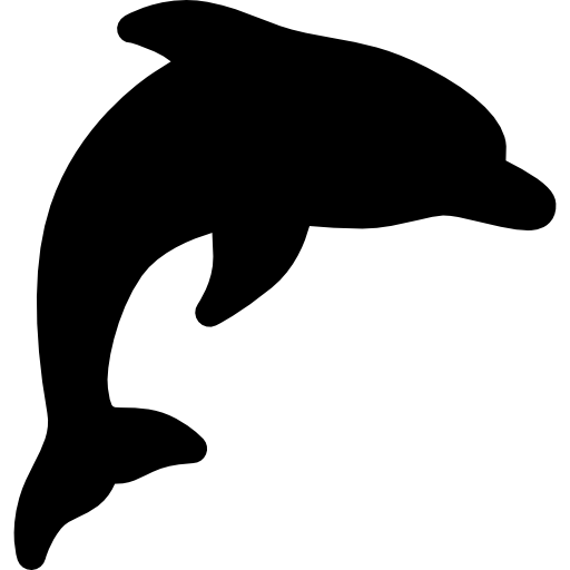 dolphin