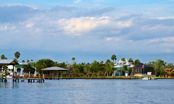 Swim with the manatees