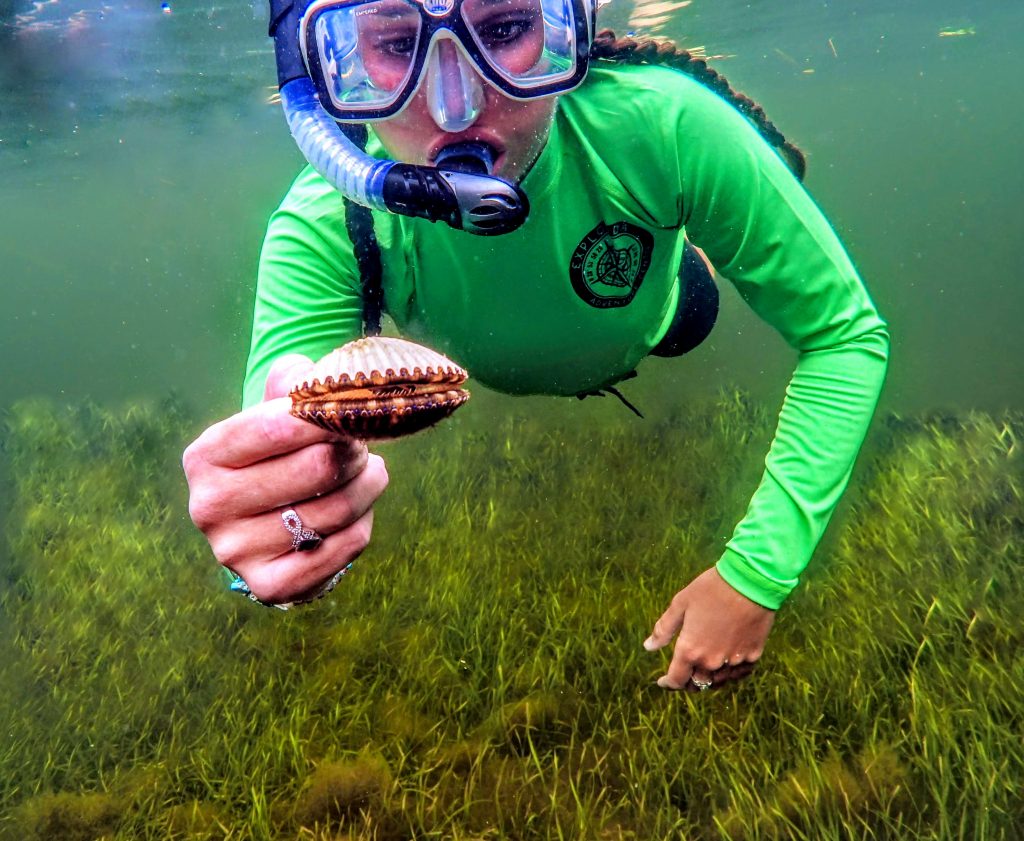 scalloping