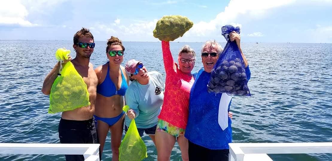 scalloping