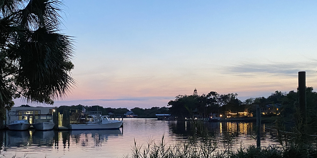 visit Homosassa