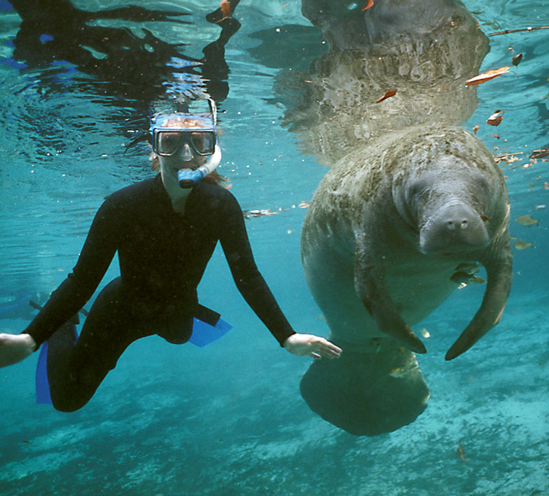 Ellie Schiller Homosassa Springs State Wildlife Park